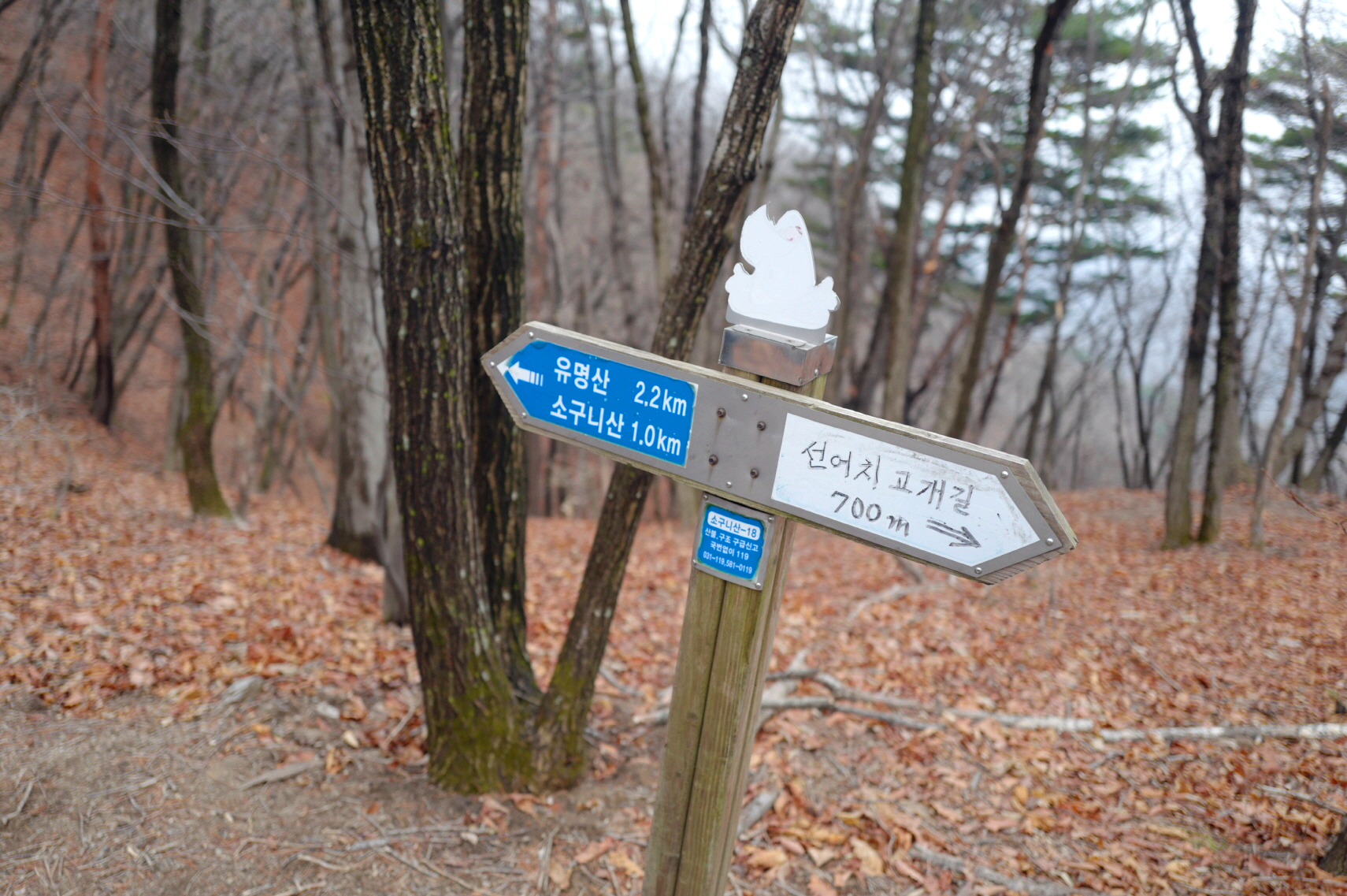 경기 양평 가평 여행 유명산 등산 mountain hiking