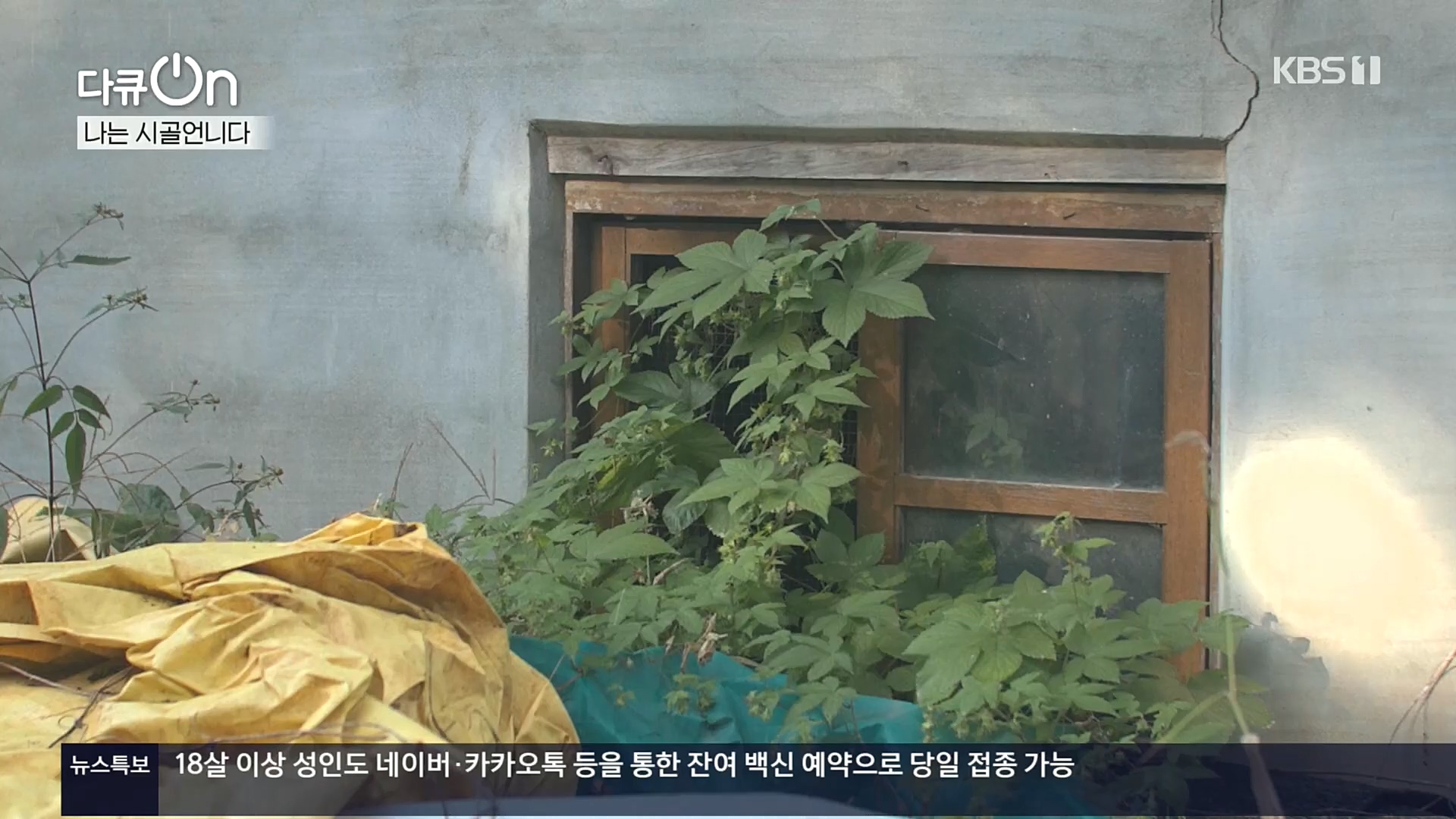 다큐 On.E165p.H264-F1RST.mp4_20221028_212309.584.jpg