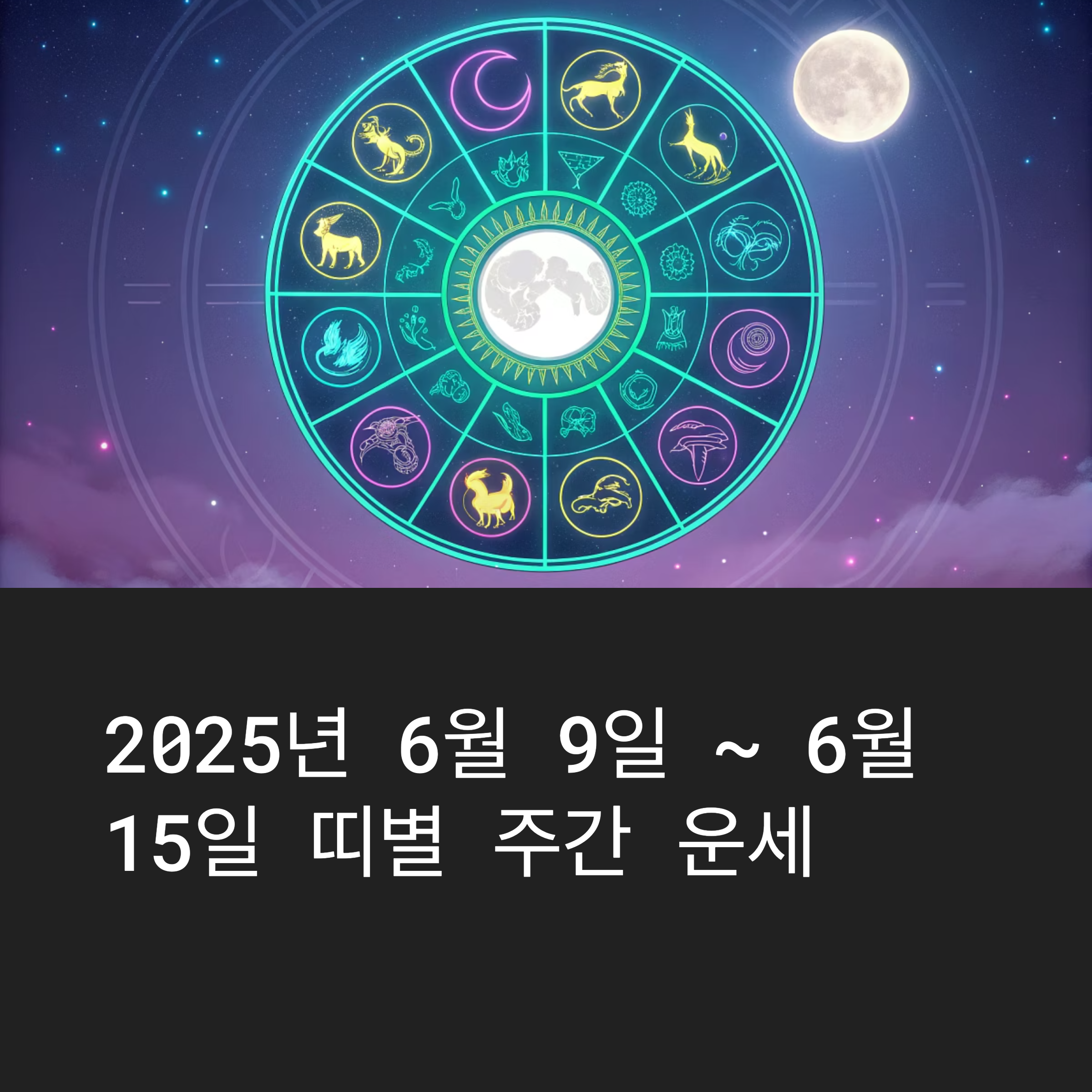 주간 운세