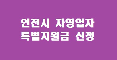인천시 자영업자 특별지원금