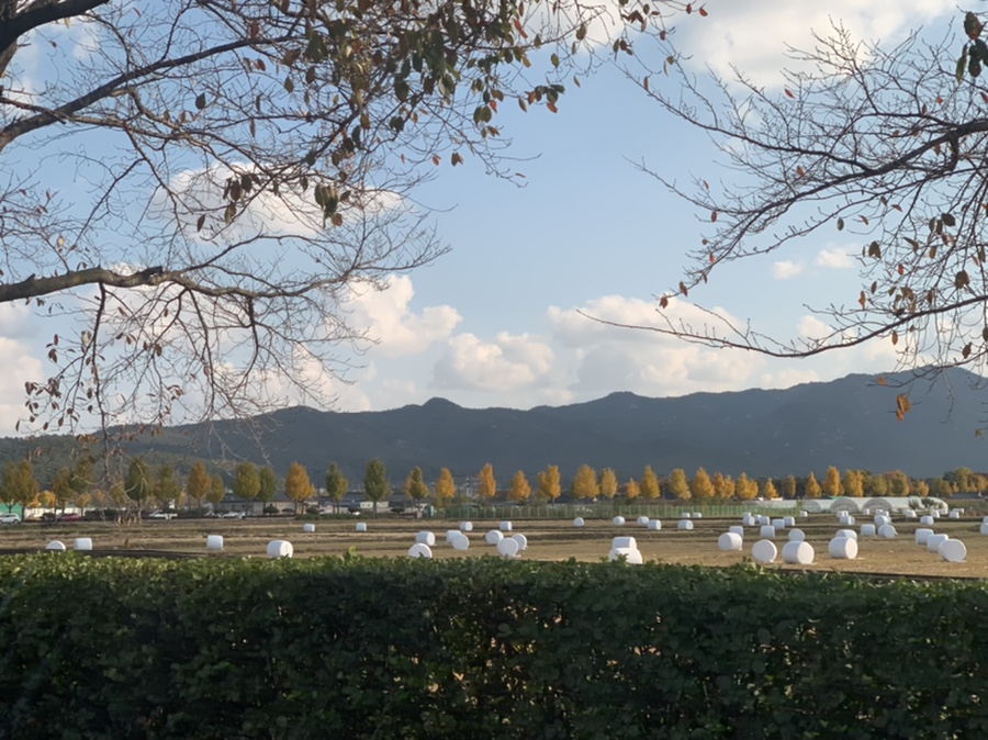 / 애플카 플레이어 쏘카 캐스퍼 시승기 6