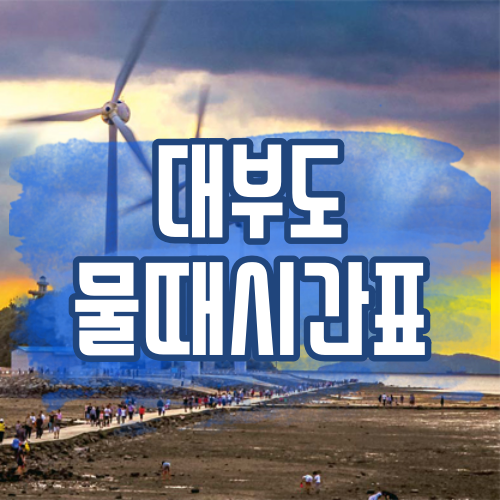  대부도 물때시간표 알아보기 (갯벌 체험)