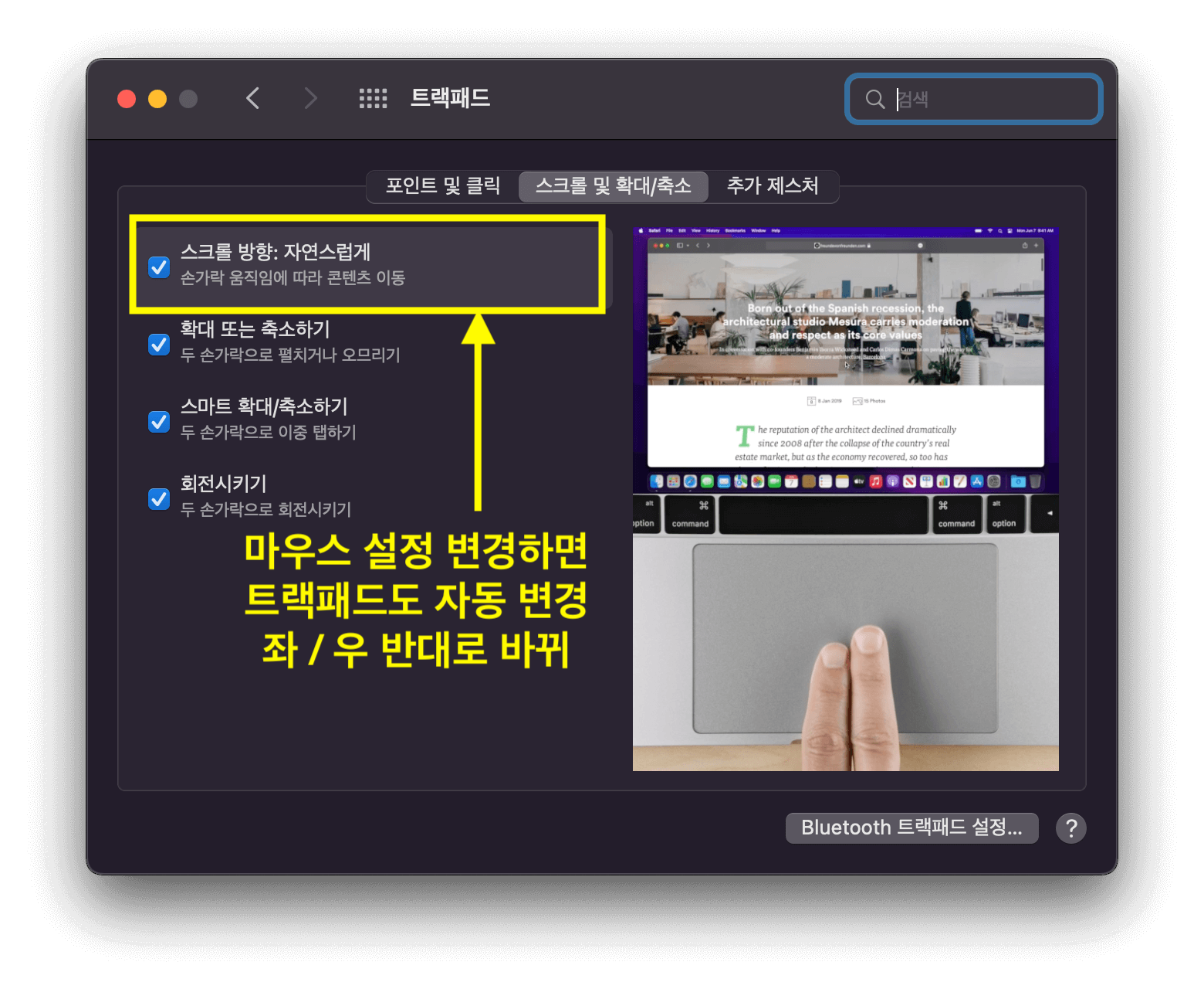 맥북-시스템-환경설정-트랙패드의-설정-화면