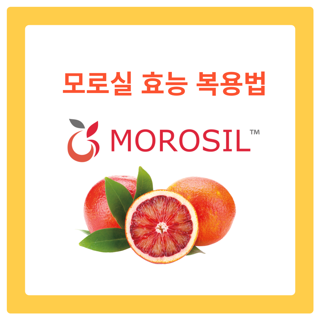  모로실 다이어트 효능으로 시작하는 건강한 다이어트