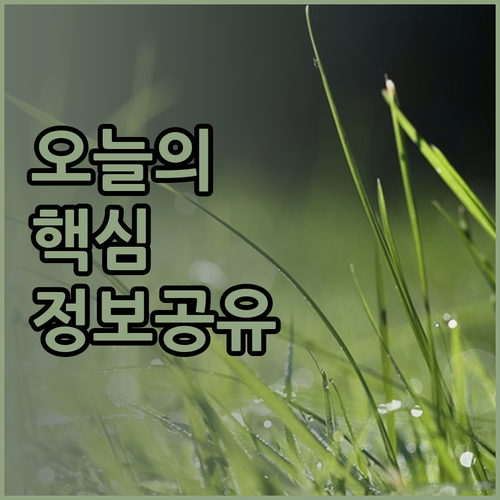 58,304원부터! 인도 마유르 호텔