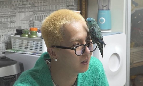  송민호 차 자동차 가격 애스턴마틴 db11 집 아파트 위치 포르쉐 ️나이 프로필 그림 가격 학력 고향 키 치피 화가
