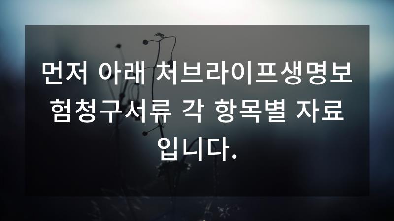 처브라이프매월받는 암생활비 7