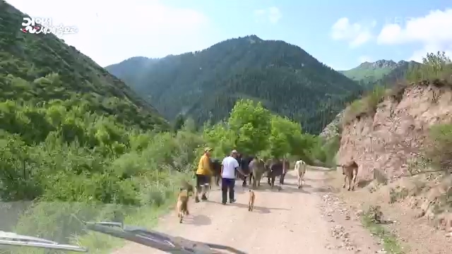 [801회] 걸어서 세계속으로 - KBS.ts_20230815_180958.607.jpg