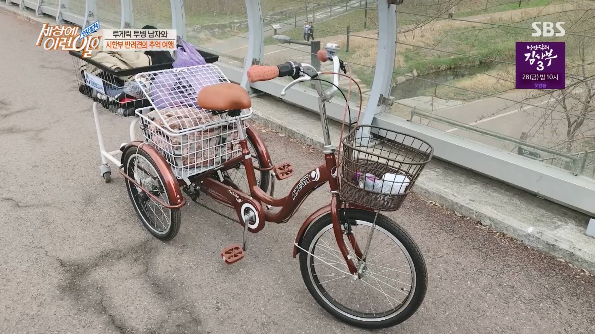 순간포착 세상에 이런일이.E1226.230418p.H264-F1RST.mp4_20230419_195513.347.jpg