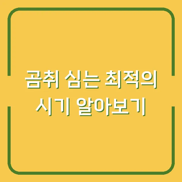 곰취 심는 최적의 시기 알아보기