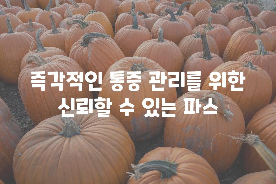 즉각적인 통증 관리를 위한 신뢰할 수 있는 파스