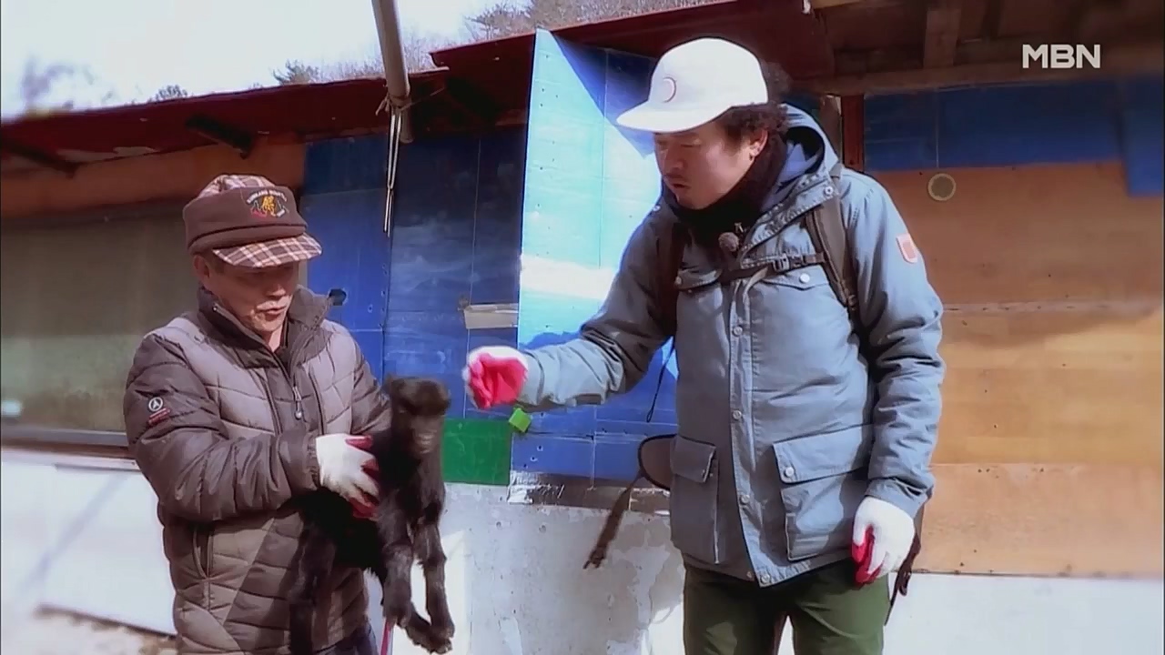 나는 자연인이다.E533.221222p.WANNA.mp4_20221222_194300.596.jpg