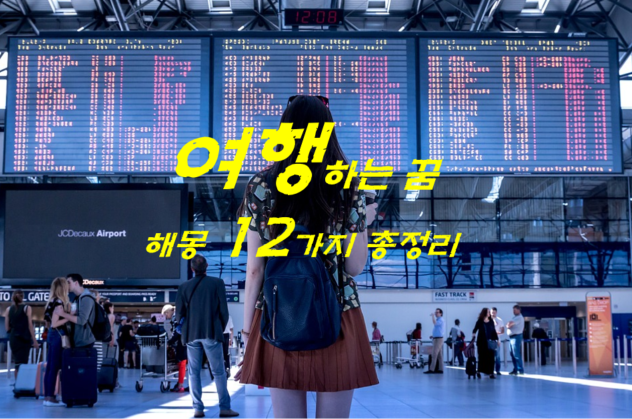  여행꿈 해몽 12가지 총정리