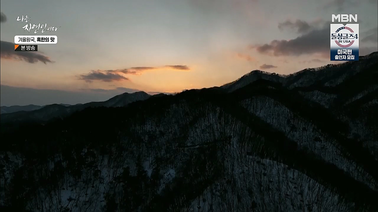 나는 자연인이다.E536.230112p.H264-F1RST.mp4_20230112_193514.384.jpg