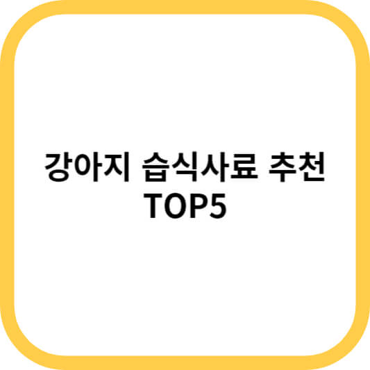 강아지 습식사료 추천