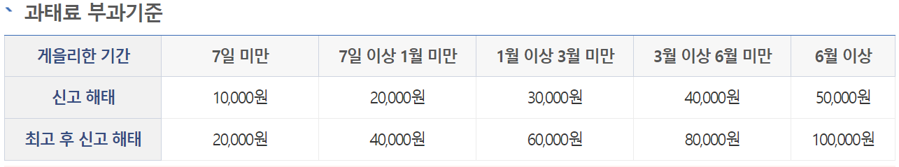 출생신고 과태료 및 벌칙