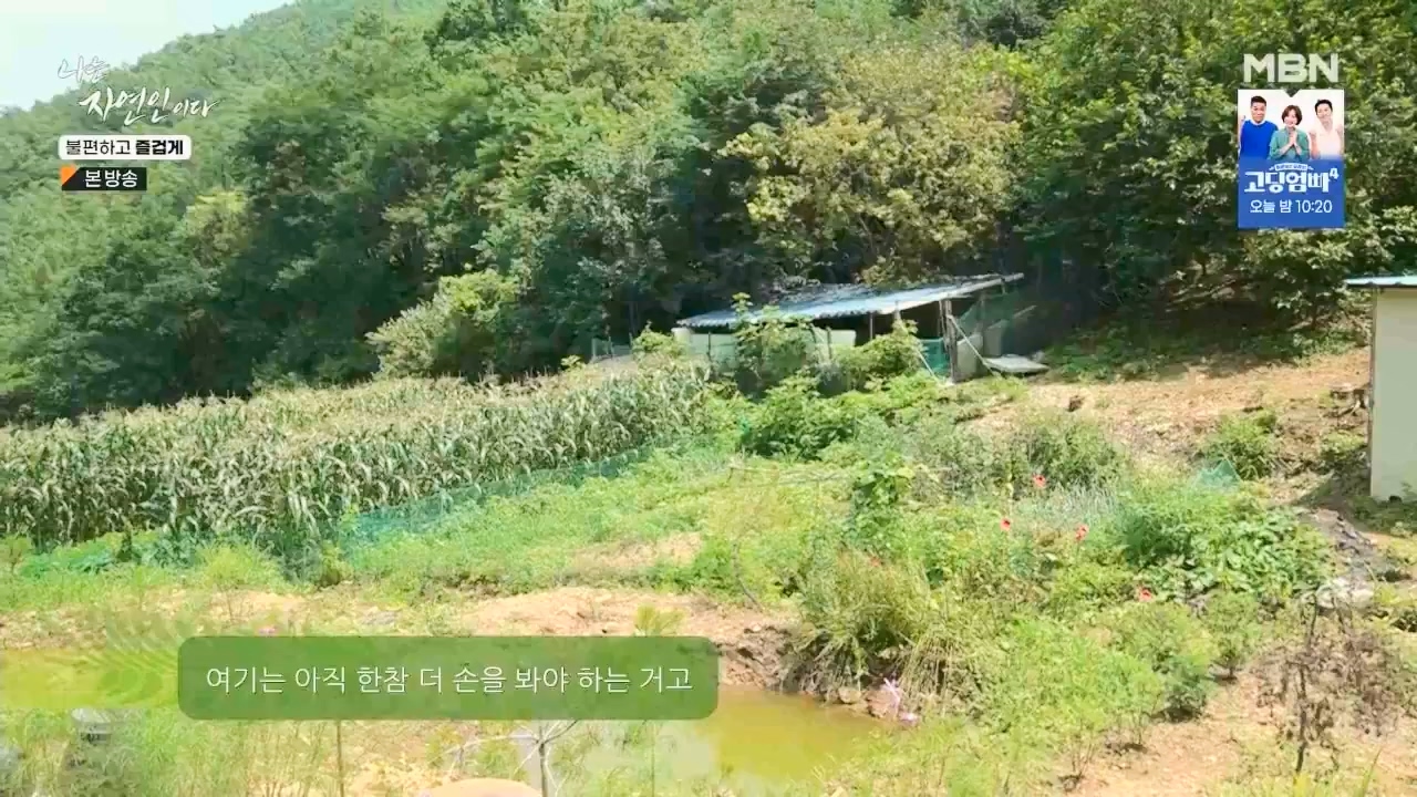 나는 자연인이다.E566.230810p.WANNA.mp4_20230810_202552.688.jpg