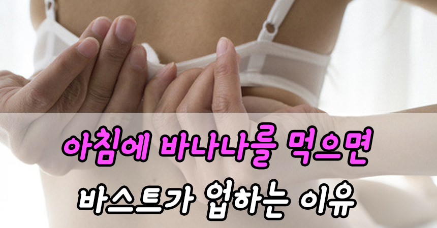  아침에 바나나를 먹으면 바스트가 업하는 이유