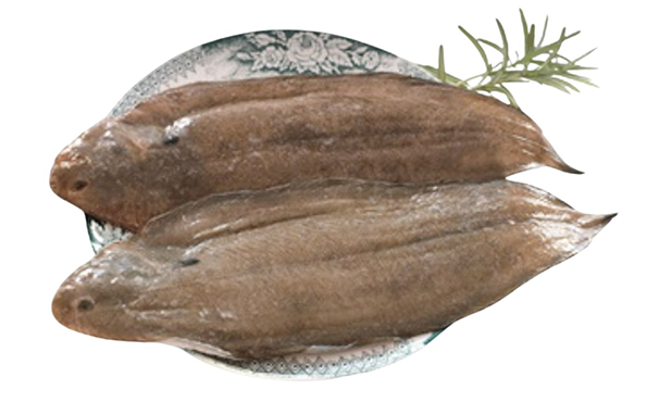 여수를 담다 이미지