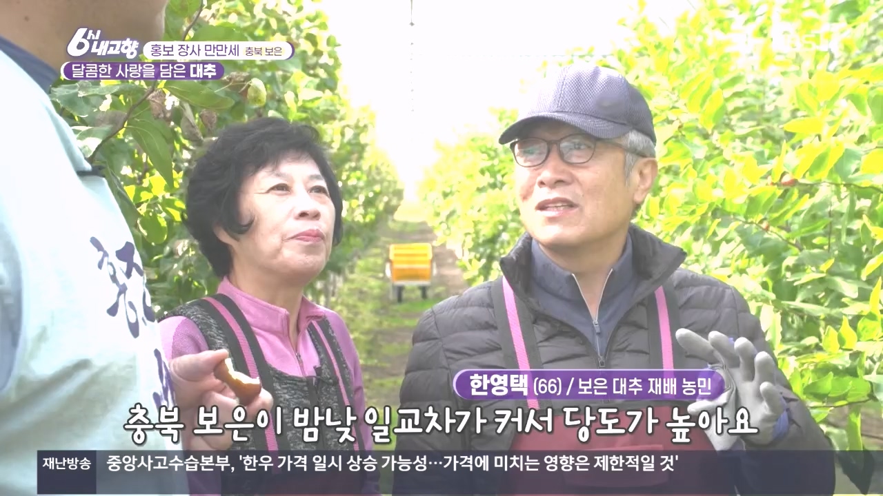 6시 내고향.E7897.231025p.H264-F1RST.mp4_20231025_202902.797.jpg