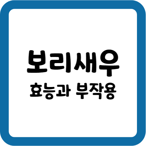 보리새우의 효능과 부작용