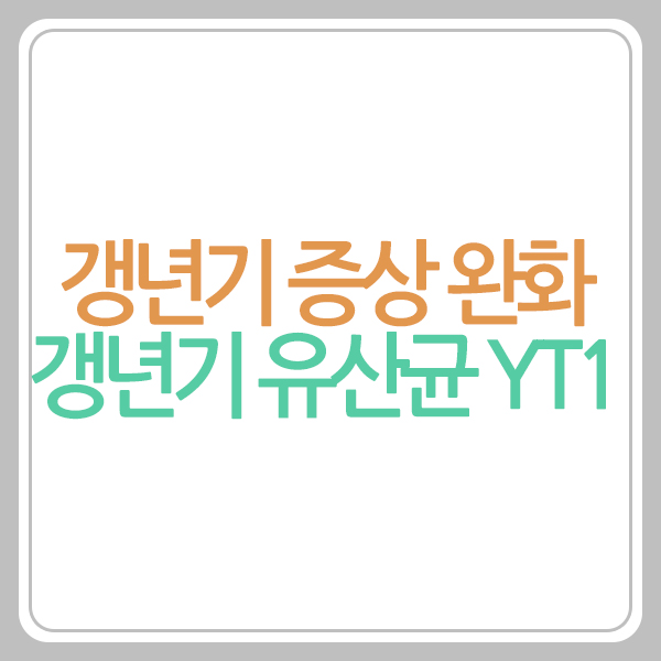 갱년기 유산균 YT1