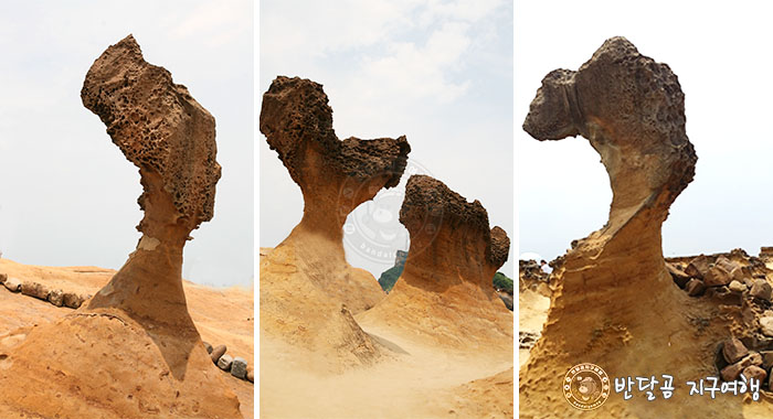 반달곰 지구여행 - 대만 타이페이 예류지질공원&#44; Yehliu Geopark