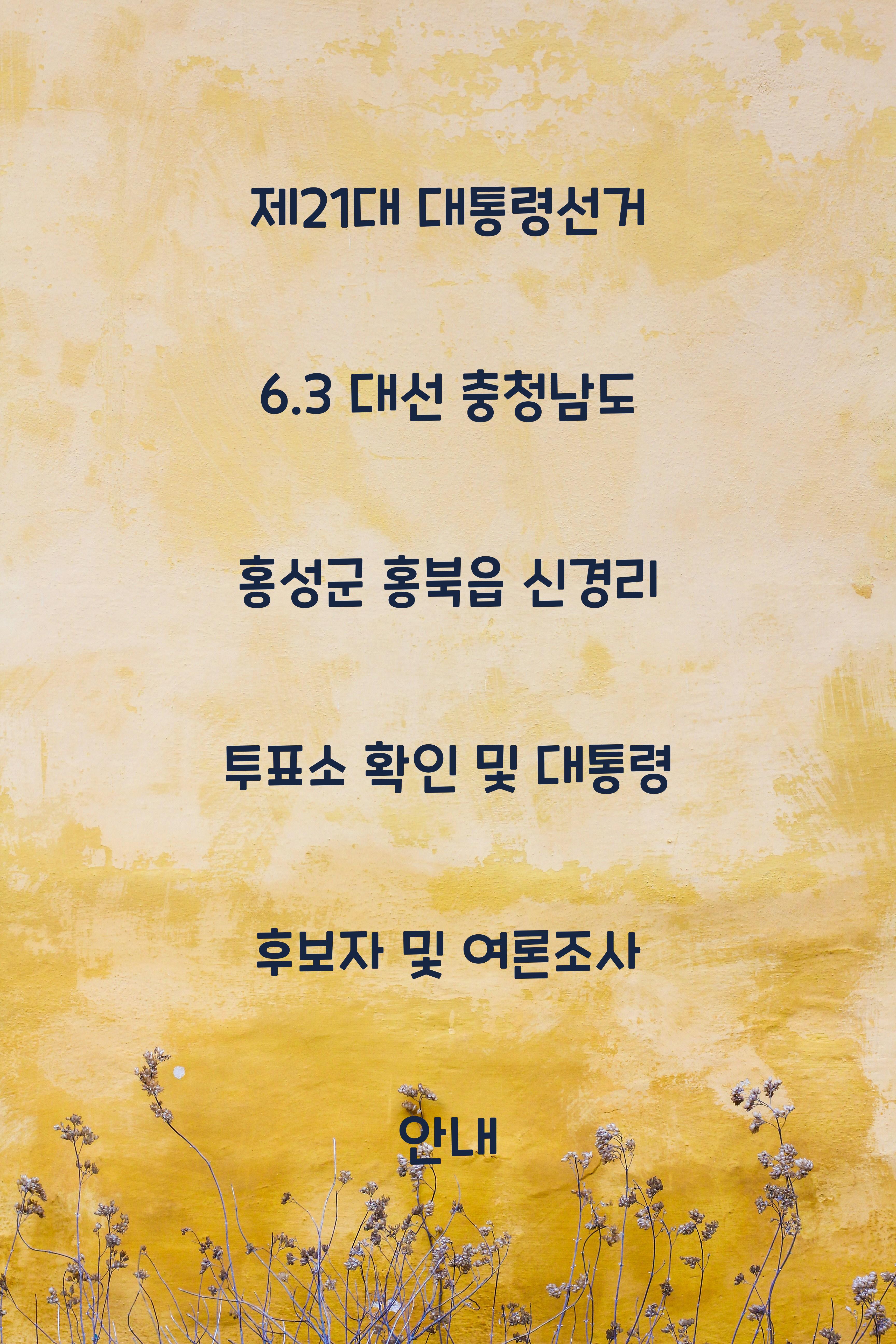 제21대 대통령선거 6.3 대선 충청남도 홍성군 홍북읍 신경리 당일 본투표소 안내 │충청남도 홍성군 홍북읍 신경리 대통령 후보자 및 여론조사 확인
