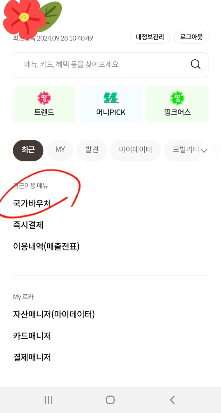 국민행복카드-롯데카드-의료비바우처-첫만남이용권-잔액확인