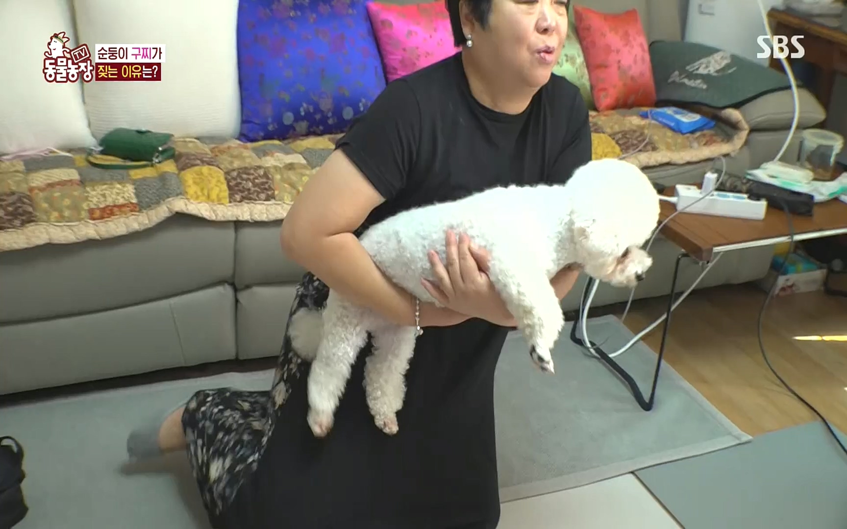 TV 동물농장.E1089.221002p.H264-F1RST.mp4_20221002_181939.077.jpg