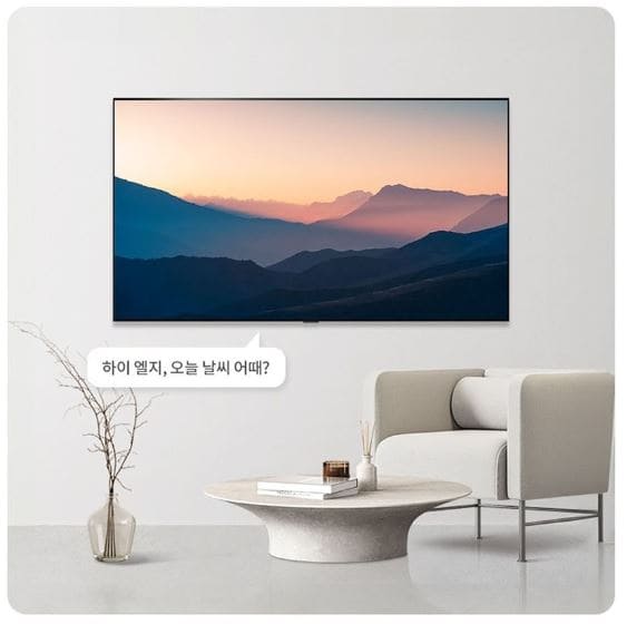 LG전자 4K UHD OLED evo TV(13)