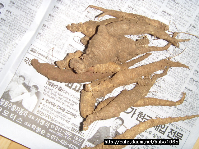 토종산야초 이미지