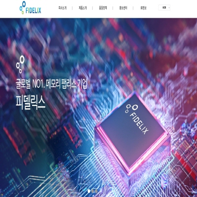  피델릭스 주가 중국 반도체 관련주?