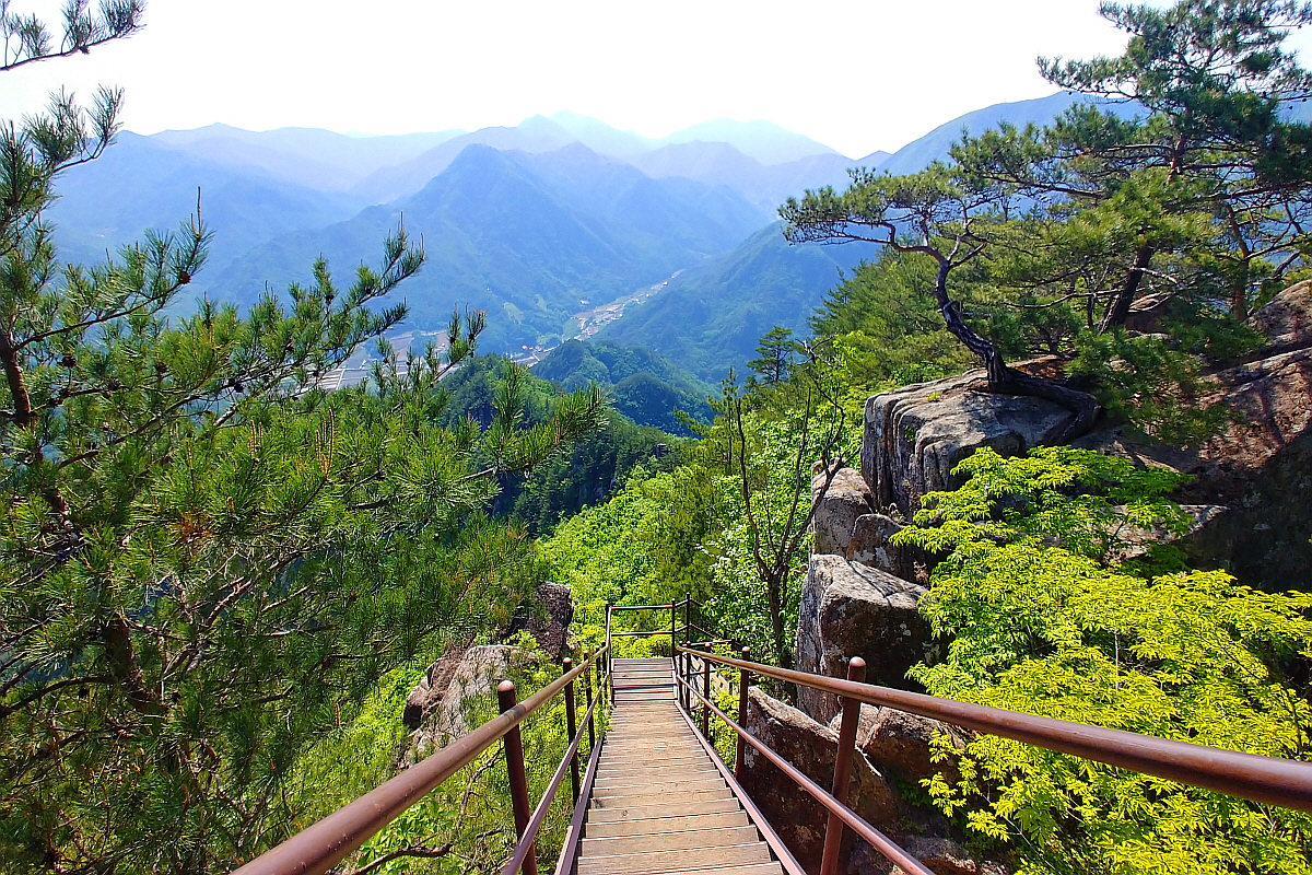 단양 도락산