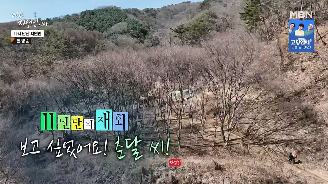 나는 자연인이다.E548.230406p-NEXT.mp4_20230406_193035.538.jpg