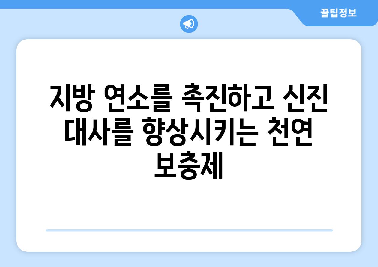 지방 연소를 촉진하고 신진 대사를 향상시키는 천연 보충제