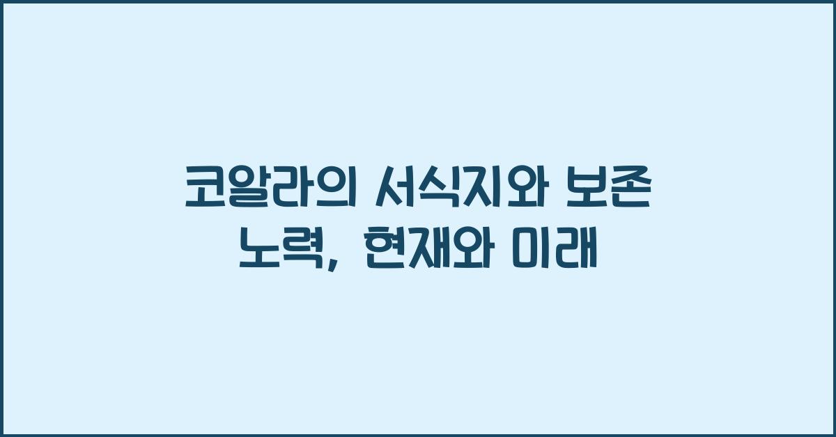 코알라의 서식지와 보존 노력
