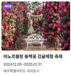 전국 축제일정 1월 2월 총정리