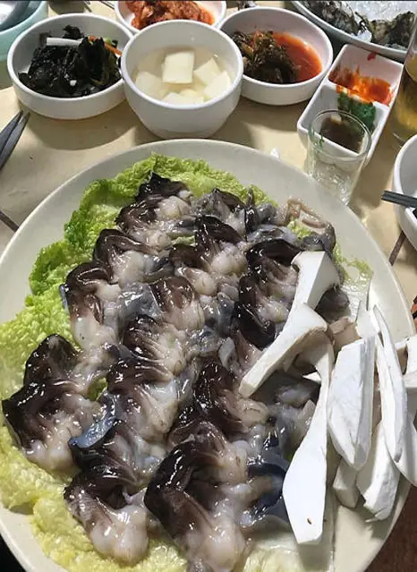 가보식당