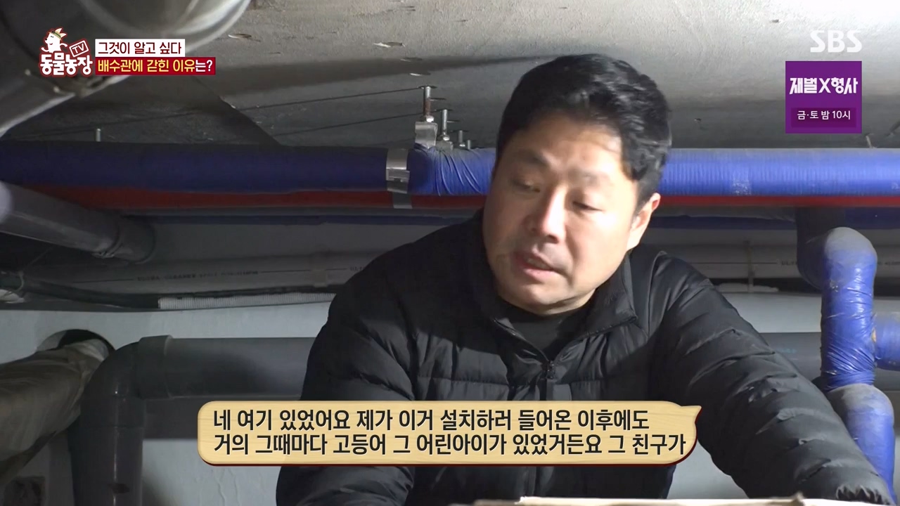 TV 동물농장.E1156.240129p-NEXT.mp4_20240128_191743.393.jpg