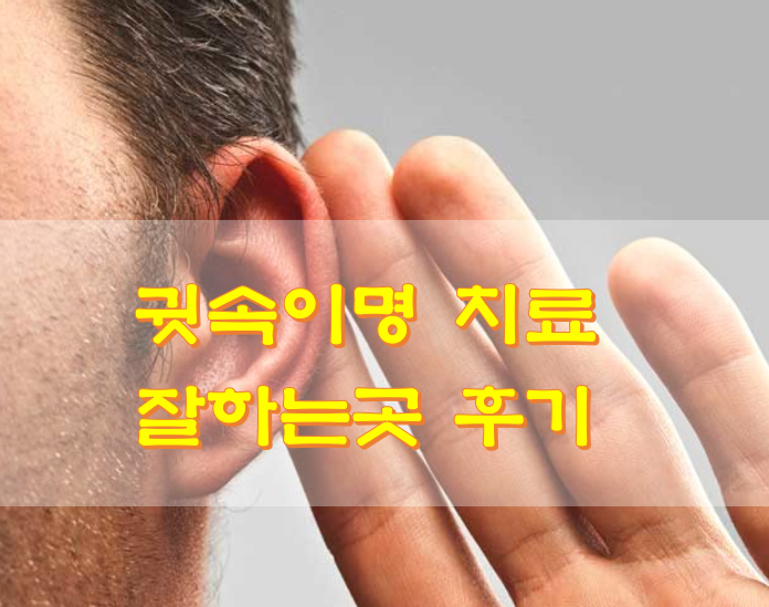  귓속이명 치료 잘하는곳 후기