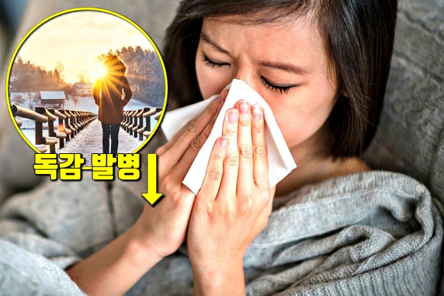 비타민d 부족증상,면역력 감기 독감