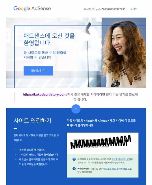  구글 애드센스 조건 승인 후기
