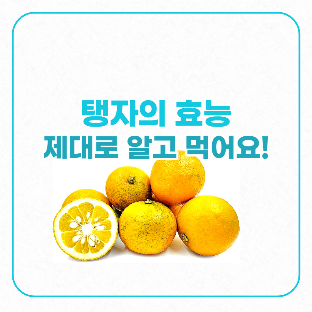 탱자의효능
