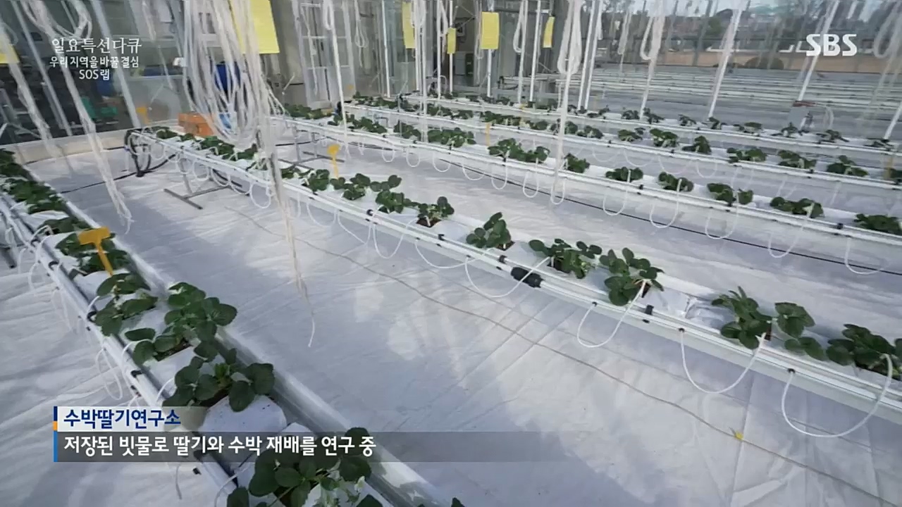 일요 특선 다큐멘터리.E300.221219p.H264-F1RST.mp4_20221231_181945.678.jpg
