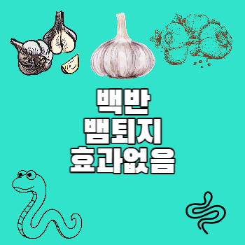 백반뱀퇴치효과없음