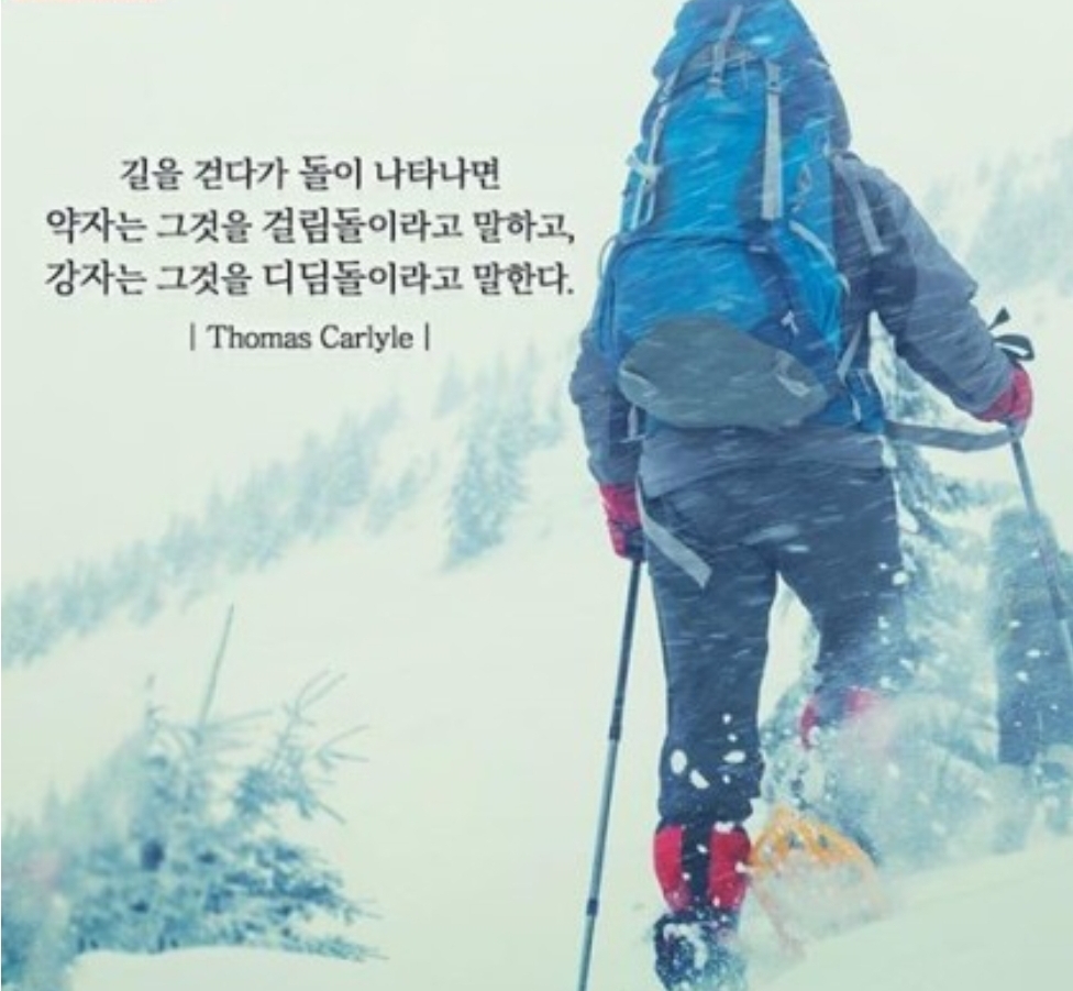  취업의 문 두드리면 열린다.