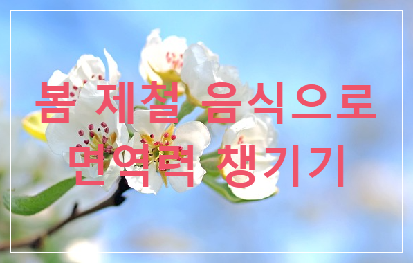  봄 제철 음식으로 면역력과 건강 챙기기