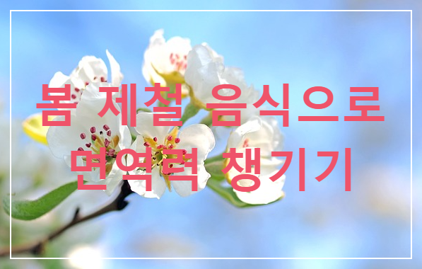 사과 꽃이 여러 개 피어 있음