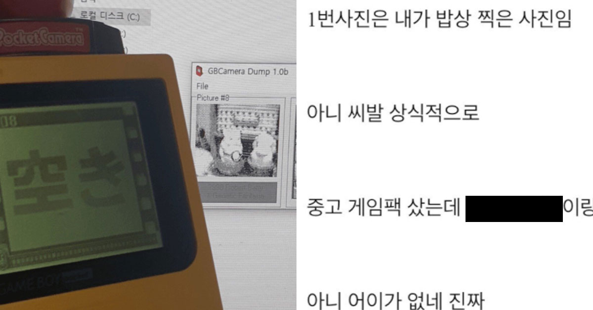  게임보이 게임팩 중고거래 대참사 ㄷㄷㄷ
